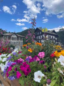 Angolo del Maggiociondolo