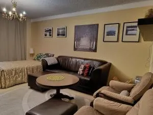 Apartment Nilsiä - 尼尔西艾