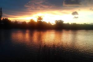 Beach Lake Paradise - Super Location!