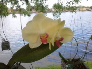 Beach Lake Paradise - Super Location!