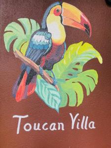 Toucan Villa -riverfront With Pool & Near A Beach