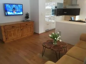 Haus Salner - 奥茨塔尔