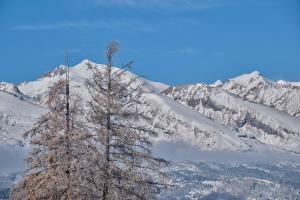Les Chalets de Celine : photos des chambres
