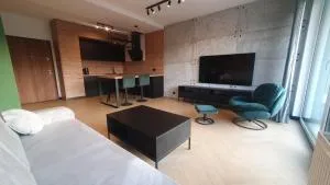Apartament LOFT - 马佐夫舍地区奥扎鲁夫
