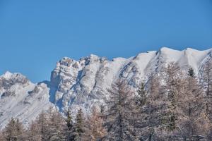 Les Chalets de Celine : photos des chambres