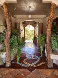 Alegria Suites Centro Historico