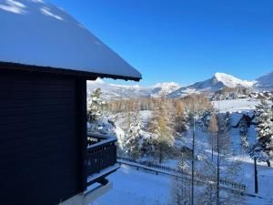 Les Chalets de Celine : photos des chambres