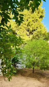 Superbe appartement avec jardin à 15min de l aéroport