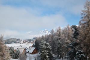 Les Chalets de Celine : photos des chambres