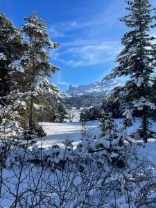 Les Chalets de Celine : photos des chambres