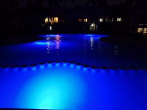 Le Dattier -dreambeach