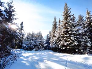 Les Chalets de Celine : photos des chambres