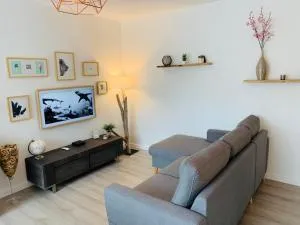 Appartement T3 de 60 M2 dans quartier calme - Le Teich