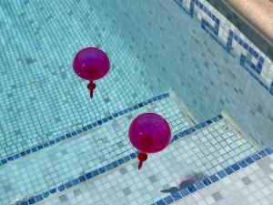Appartements Grand studio avec piscine au coeur du village : photos des chambres