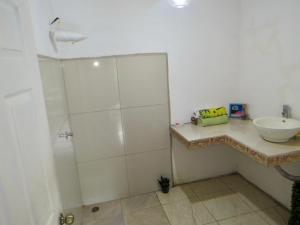 Rose House Manuel Antonio