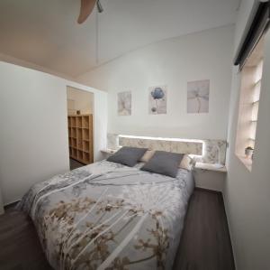 Casita Leos
