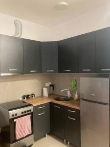 Apartmani Novi Sad Center