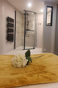 Suite Vinicole Hypercentre, Bastille & Gare 9 min à pied