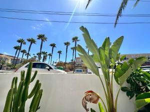 Travelingdays Hibiscus