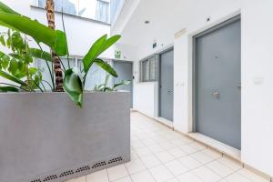 Vivendos - MA17 - Trinidad