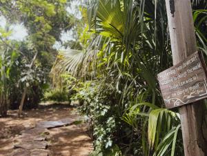 Black Sand Hotel Boutique