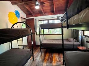 Tamarindo Backpackers