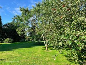 Maison individuelle avec spa et jardin, près de Domfront - FR-1-497-101