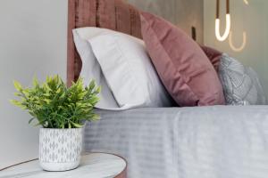 The O by Seekers Medellín