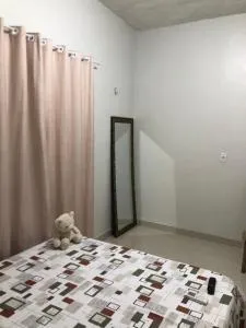 Festival de Parintins -2025 - 帕林廷斯