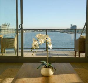 Boardwalk on Honeysuckle