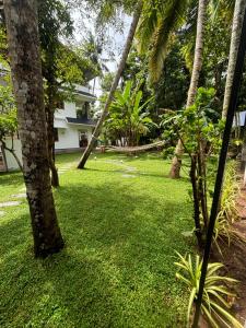 Villa Lemon
