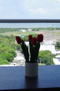 Cartagena Aparta Suite Crespo Aeropuerto