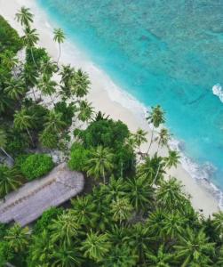 Jala Villas Lances Right HTs Mentawai