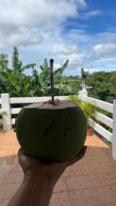 Kindred Farm B&B Homestay