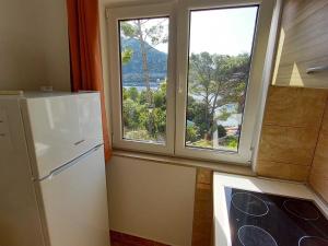 Apartments Vinko Mljet- One-Bedroom Apartment with Terrace A5