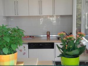 Holiday Home Pavarotti-Three Bedroom Holiday Home with Terrace