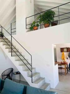 Villa - Cottage - Herdade da Fonte das Três portas