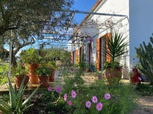 Villa - Cottage - Herdade da Fonte das Três portas