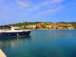 Apartment Josipa Vela Luka- Studio Apartment with Balcony and Sea View