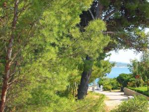 Apartments Villa Rea Orebi - One Bedroom Apartment with Terrace 3