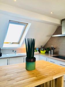 Appartement cosy à 10min à pieds du centre-ville