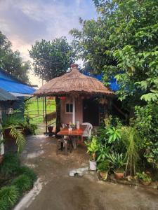 Wildflow jungle yoga safari and homestay