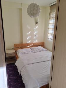 Villa Zvončica, Apartman ViN