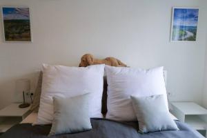 Mosel Appartment Two - MIS