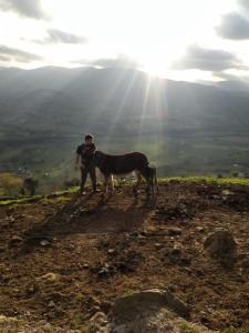 Casa Rural Costalisa