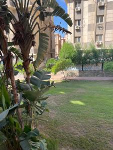 Gardenia city apartments - 57051