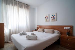 Apartamentos AGRX Virgen 25 - Centro