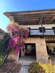 Casona con encanto, siglo XVIII - Toñanes