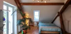 Exklusive Penthouse Wohnung, nahe zur Schweiz - Kaiserstuhl