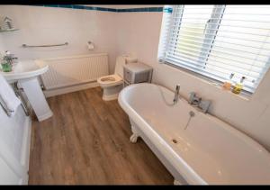 Sandy Bottom - Camber Sands, East Sussex